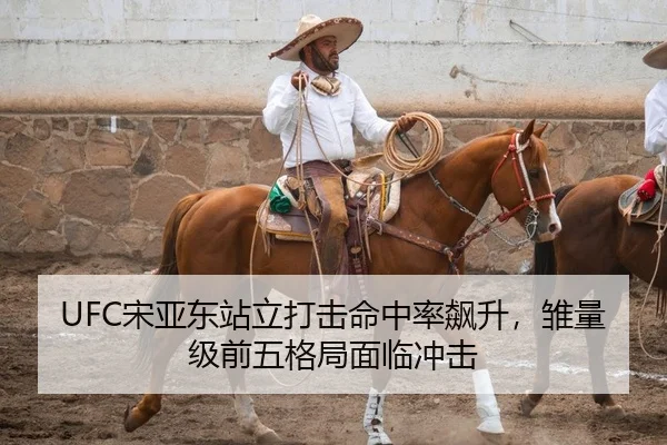 song-ya-dong-zhan-li-da-ji-ming-zhong-lv-biao-sheng-chu-liang-ji-qian-wu-ge-ju-mian-lin-chong-ji-2-381.jpg